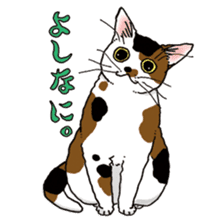 Tabby CATS sticker #364471
