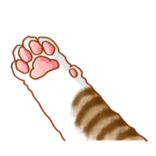 Tabby CATS sticker #364474