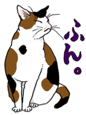 Tabby CATS sticker #364486