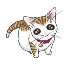 Tabby CATS sticker #364489