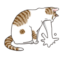 Tabby CATS sticker #364495