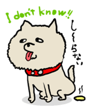 Animal Party[Cat & Dog & Black Moor] sticker #366542