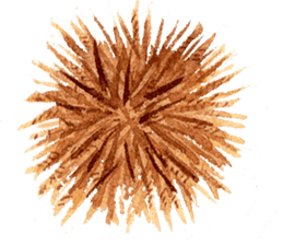 Hedgehog in the forest of mushroom sticker #372092