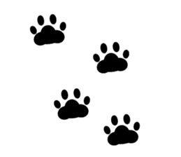 Cat's hand and Dog's tail. sticker #373184