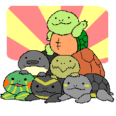 turtle's life 1st
