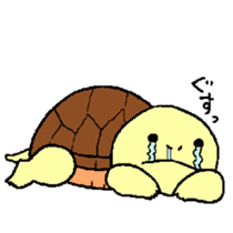turtle's life 1st sticker #375719