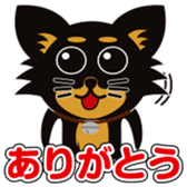 CHIHUAHUA in BLACK sticker #377950