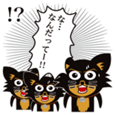 CHIHUAHUA in BLACK sticker #377956