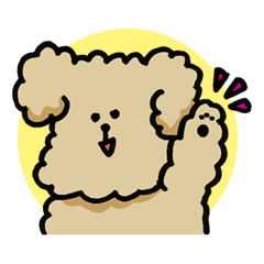 Yes, I am Toy Poodle