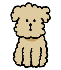 Yes, I am Toy Poodle sticker #381665