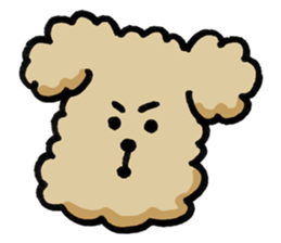 Yes, I am Toy Poodle sticker #381666