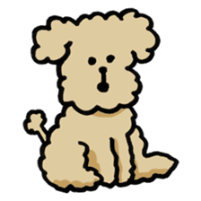 Yes, I am Toy Poodle sticker #381667