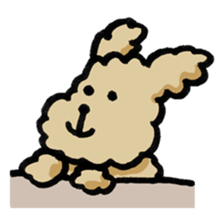 Yes, I am Toy Poodle sticker #381668