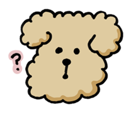 Yes, I am Toy Poodle sticker #381669