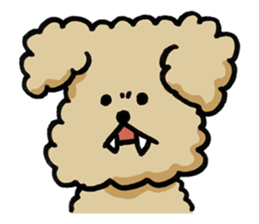 Yes, I am Toy Poodle sticker #381671