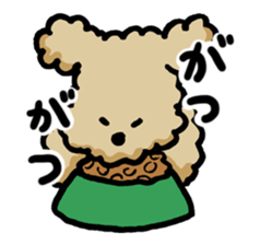 Yes, I am Toy Poodle sticker #381675