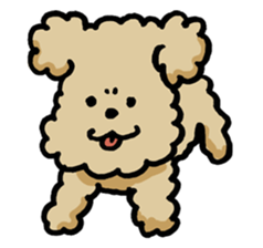 Yes, I am Toy Poodle sticker #381676