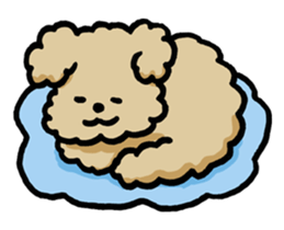 Yes, I am Toy Poodle sticker #381678