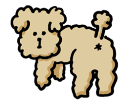 Yes, I am Toy Poodle sticker #381679