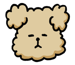 Yes, I am Toy Poodle sticker #381682