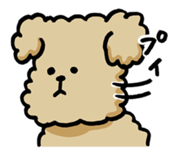 Yes, I am Toy Poodle sticker #381684