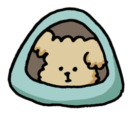 Yes, I am Toy Poodle sticker #381686