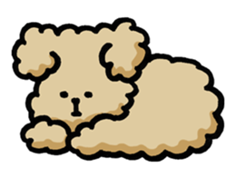 Yes, I am Toy Poodle sticker #381687