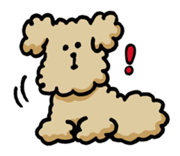 Yes, I am Toy Poodle sticker #381688