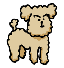 Yes, I am Toy Poodle sticker #381689