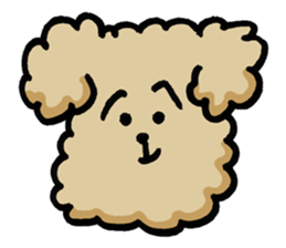 Yes, I am Toy Poodle sticker #381692