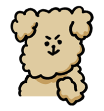 Yes, I am Toy Poodle sticker #381693