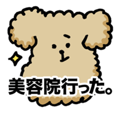 Yes, I am Toy Poodle sticker #381695
