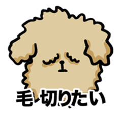 Yes, I am Toy Poodle sticker #381696