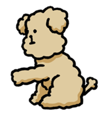 Yes, I am Toy Poodle sticker #381699