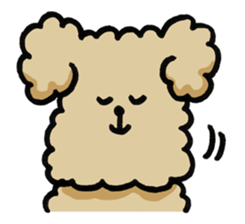 Yes, I am Toy Poodle sticker #381702