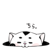 Cat in Osaka sticker #383404