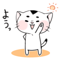 Cat in Osaka sticker #383410