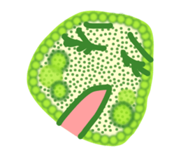 Volvox? sticker #383720