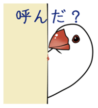 Javasparrow stickers sticker #383865