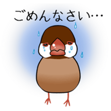 Javasparrow stickers sticker #383868