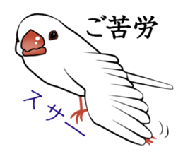 Javasparrow stickers sticker #383871