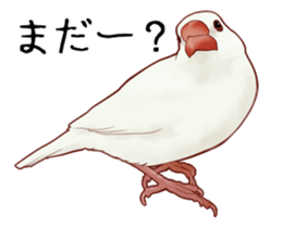 Javasparrow stickers sticker #383875