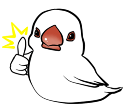 Javasparrow stickers sticker #383878