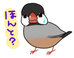 Javasparrow stickers sticker #383884