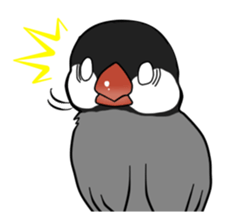 Javasparrow stickers sticker #383885