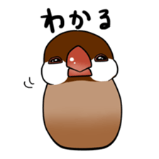 Javasparrow stickers sticker #383887