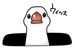 Javasparrow stickers sticker #383888