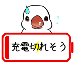 Javasparrow stickers sticker #383900