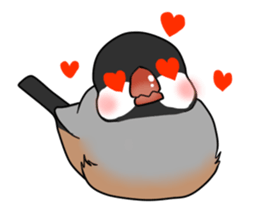 Javasparrow stickers sticker #383901