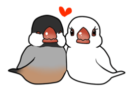 Javasparrow stickers sticker #383903